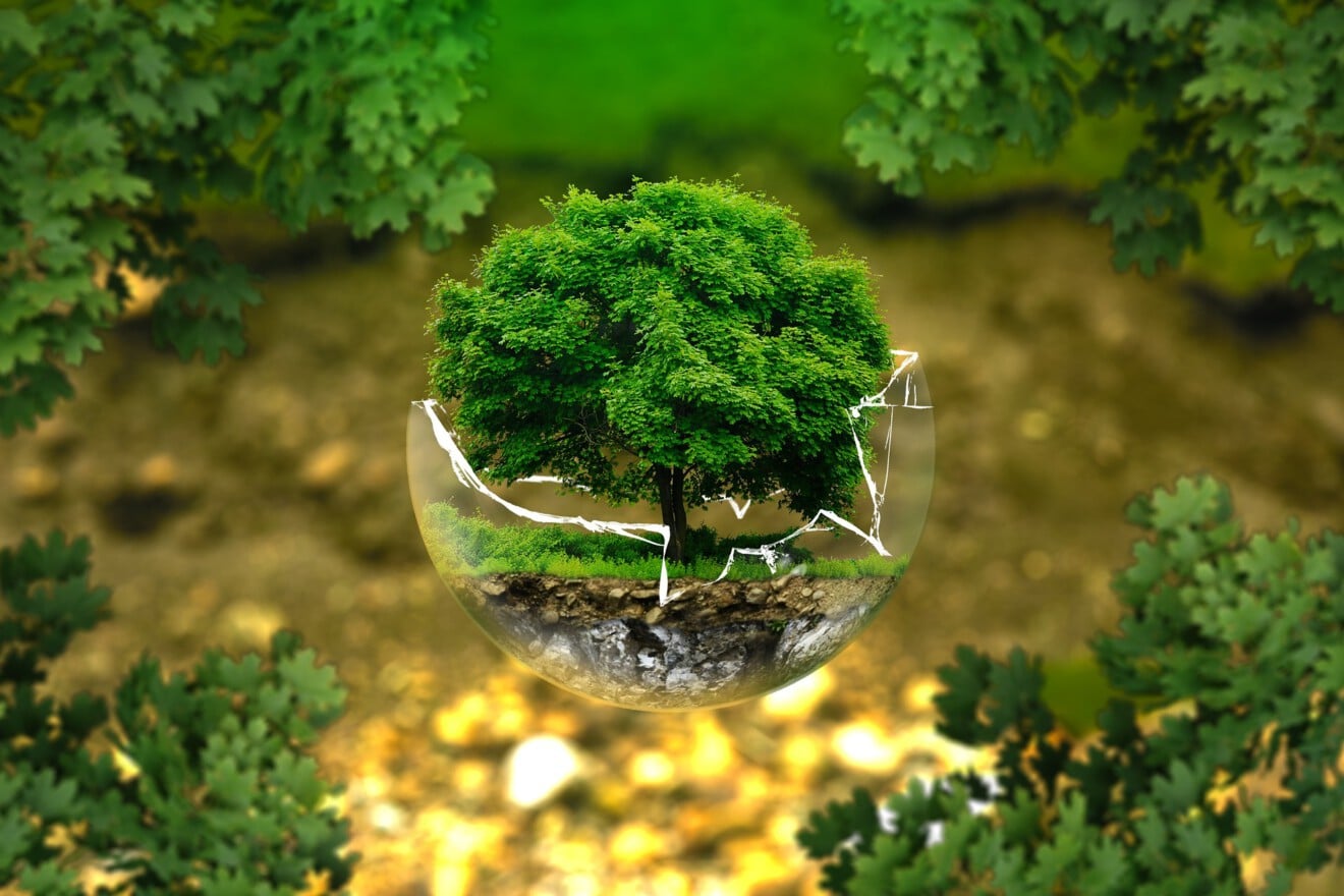 environmental-protection-Bild von AndreasAux auf Pixabay